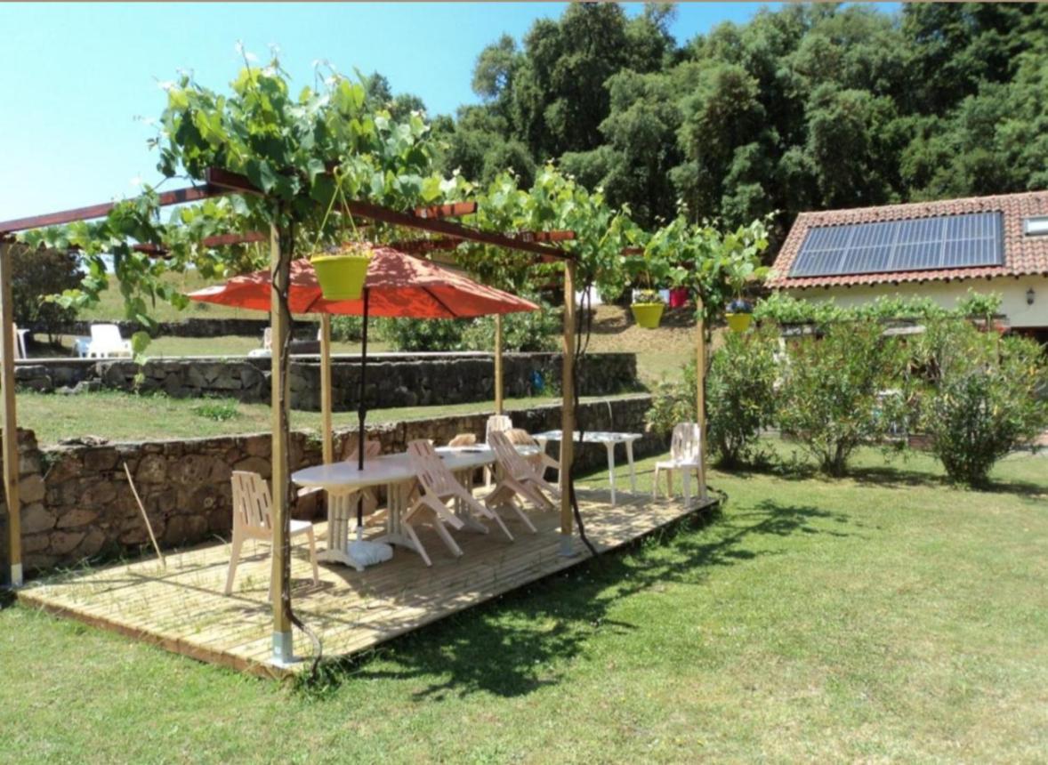 Gites Carbuccia En Corse Avec Piscine Chauffee Exterior foto