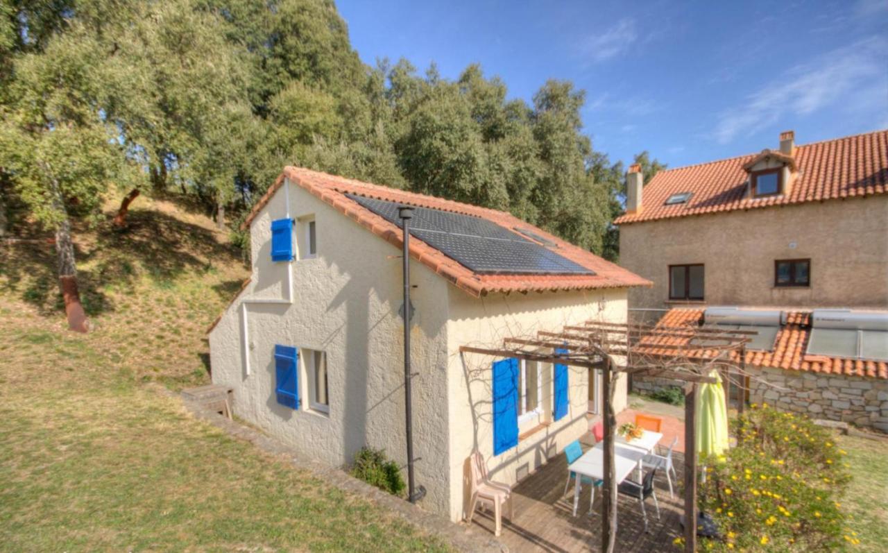 Gites Carbuccia En Corse Avec Piscine Chauffee Exterior foto