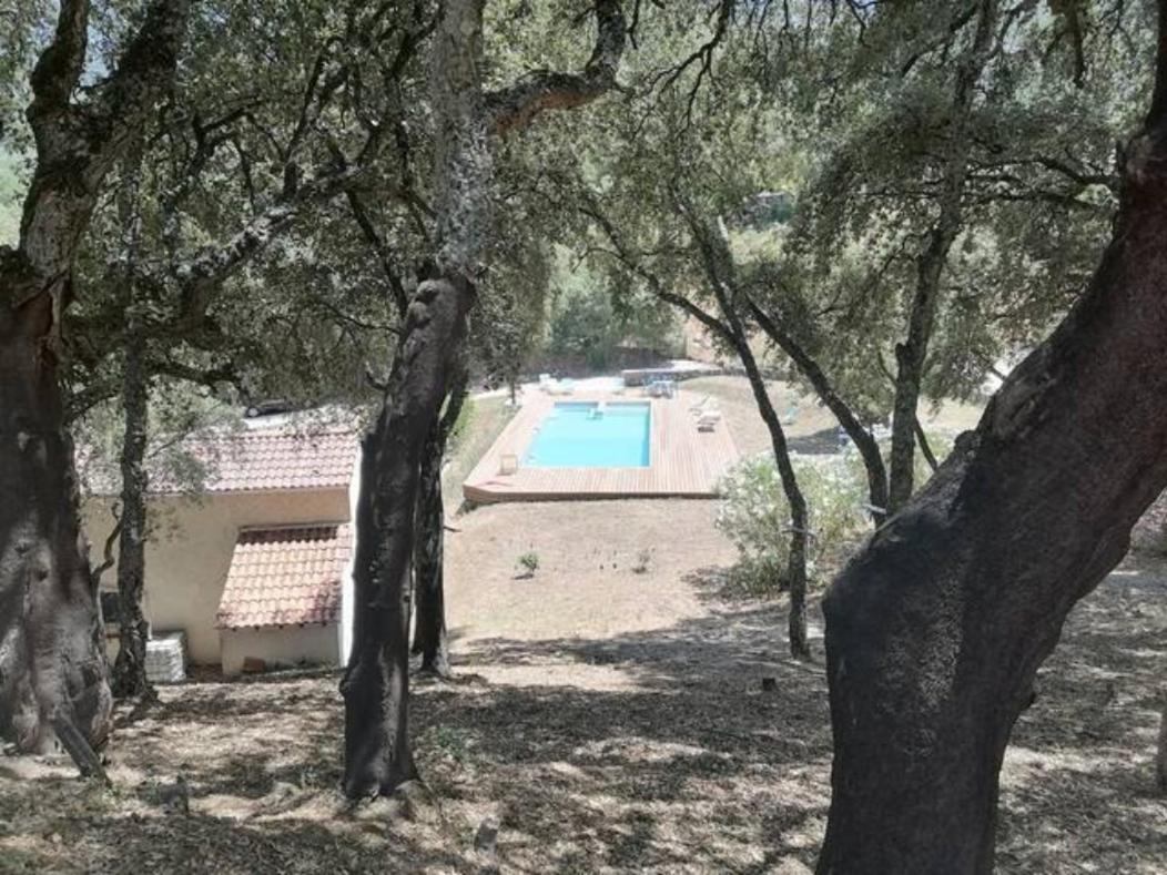 Gites Carbuccia En Corse Avec Piscine Chauffee Exterior foto