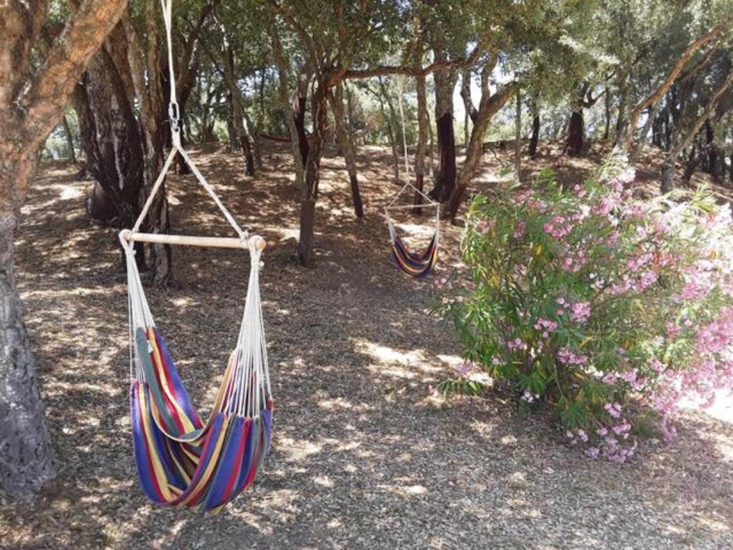 Gites Carbuccia En Corse Avec Piscine Chauffee Exterior foto